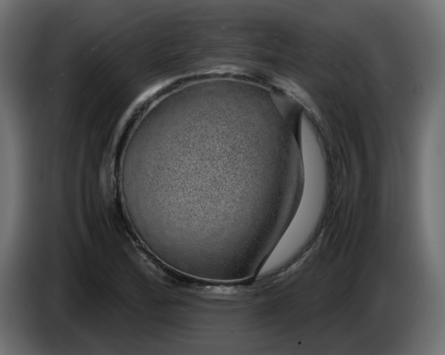 X0000083581172200703021807