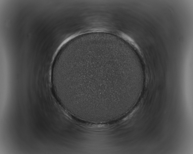 X0000083581174200703021807