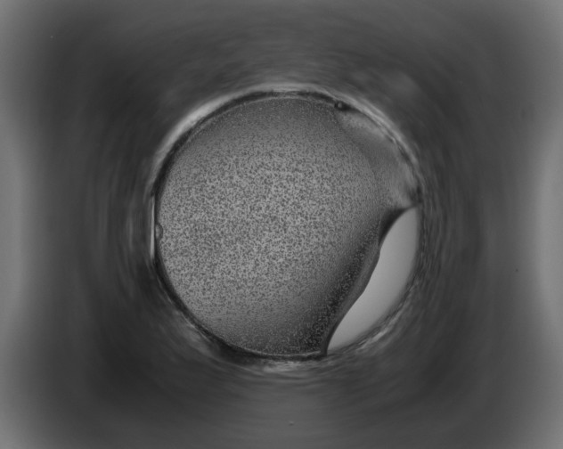 X0000083581175200703021807