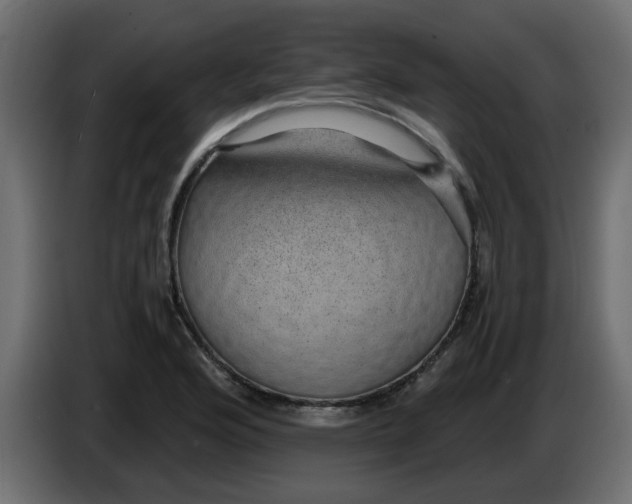 X0000083581176200703021807