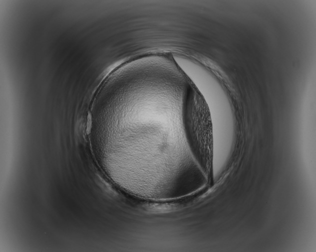 X0000083581177200703021807