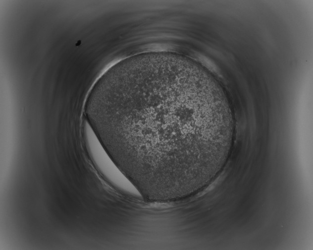 X0000083581178200703021807