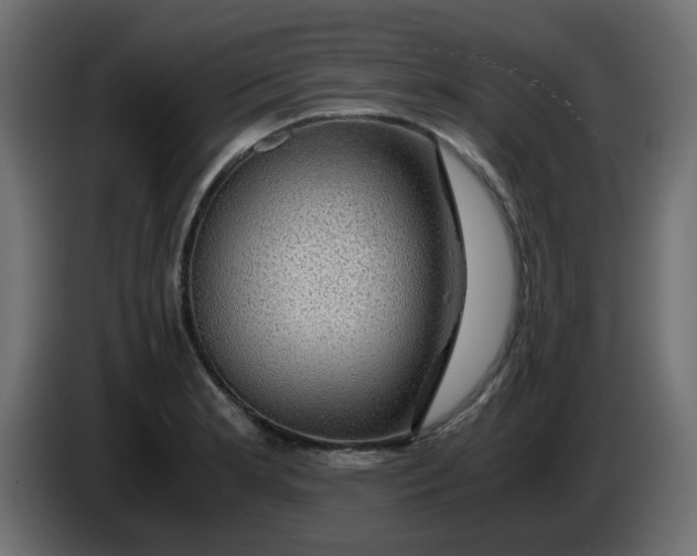 X0000083581181200703021807