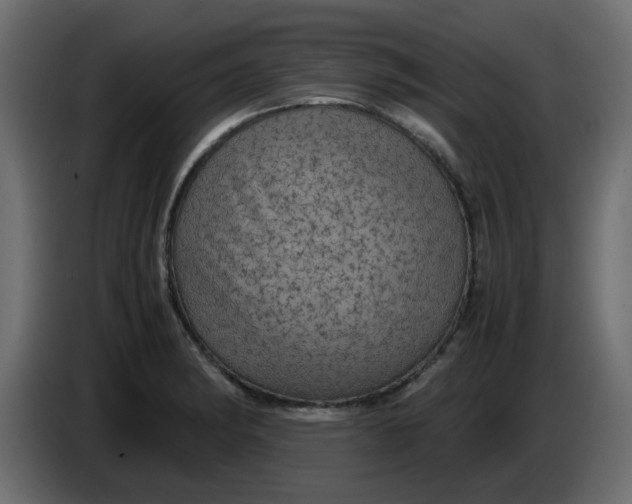 X0000083581182200703021807