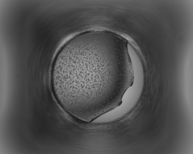 X0000083581183200703021807