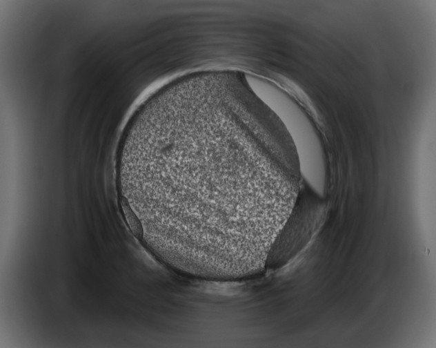 X0000083581184200703021807