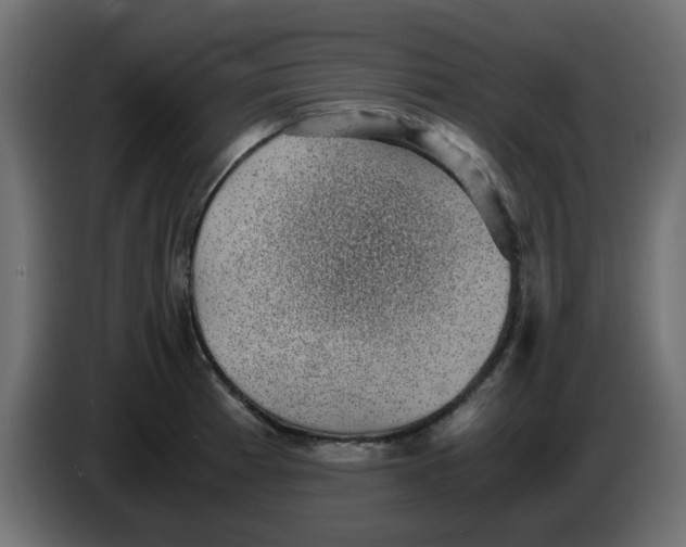 X0000083581185200703021807