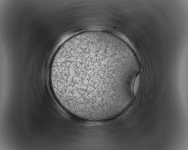 X0000083581187200703021807