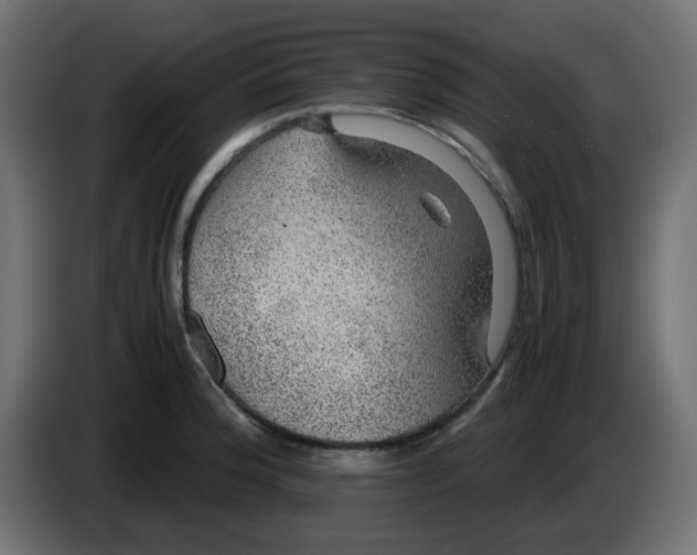 X0000083581188200703021807