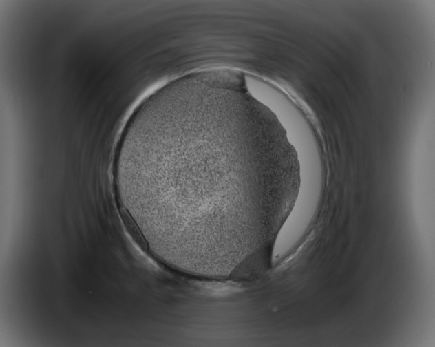 X0000083581189200703021807