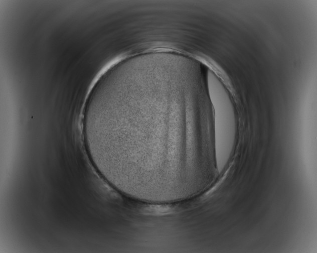 X0000083581190200703021807