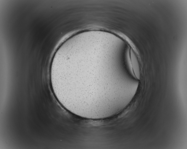 X0000083581191200703021807