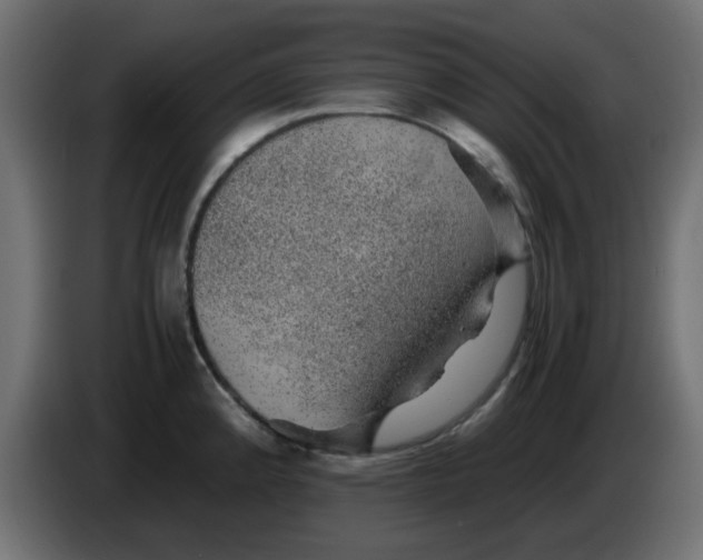 X0000083581192200703021807