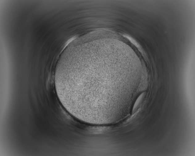 X0000083581193200703021807