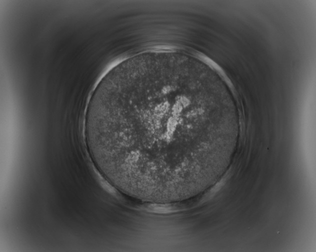 X0000083581194200703021807