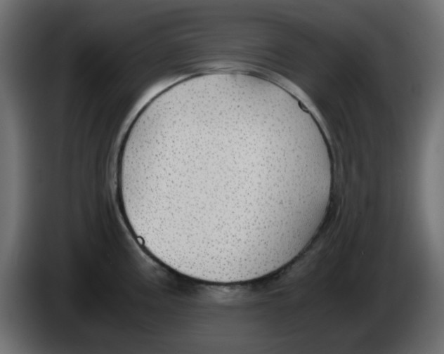 X0000083581195200703021807