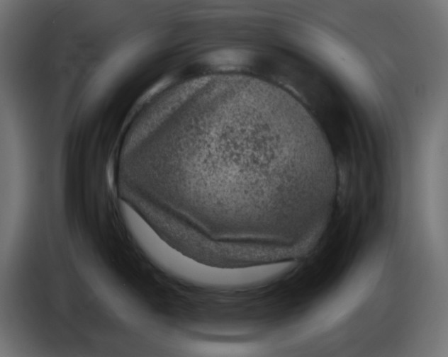 X0000083581198200703021807