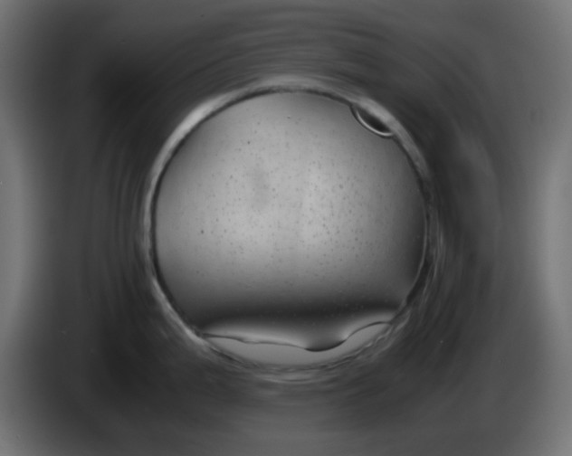 X0000083581199200703021807