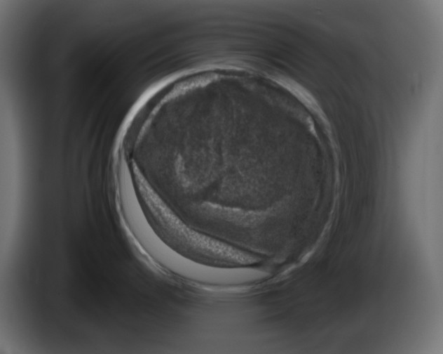 X0000083581200200703021807