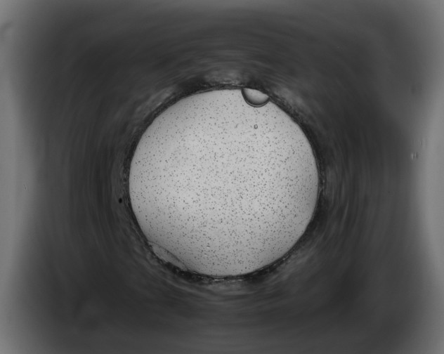 X0000083581201200703021806