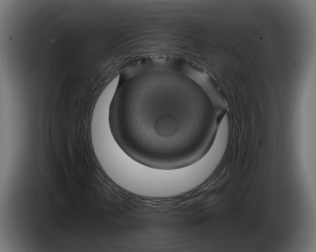 X0000083581202200703021806