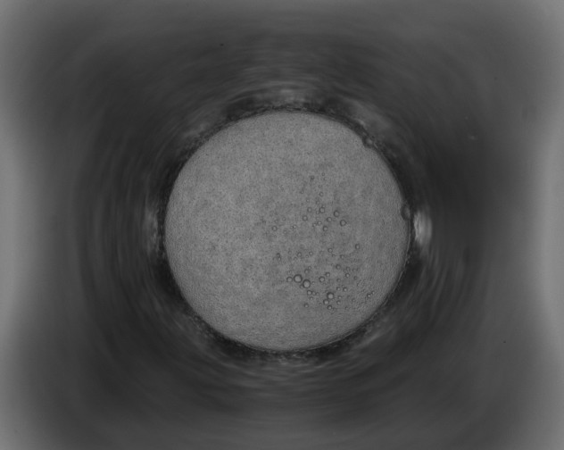 X0000083581203200703021806