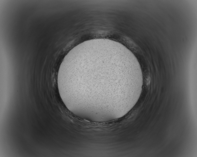 X0000083581204200703021806