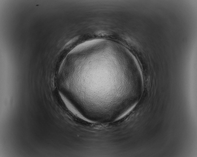 X0000083581205200703021806