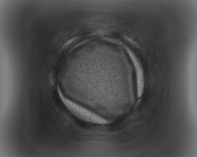 X0000083581206200703021806