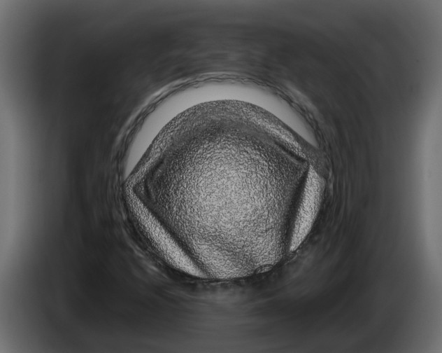 X0000083581208200703021806