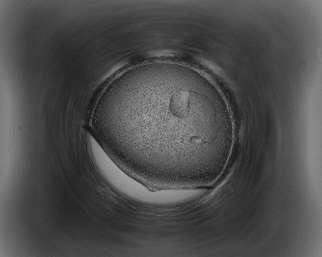 X0000083581209200703021806