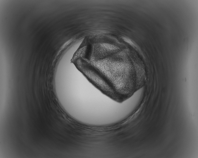 X0000083581210200703021806