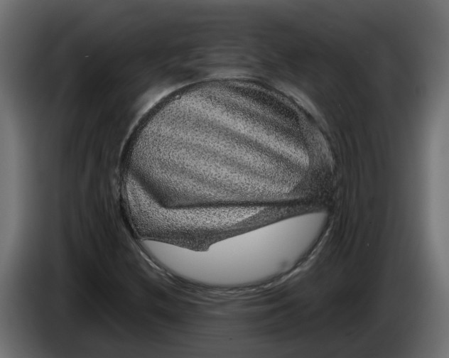 X0000083581212200703021806