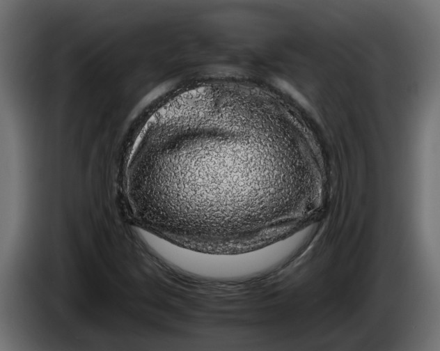 X0000083581213200703021806