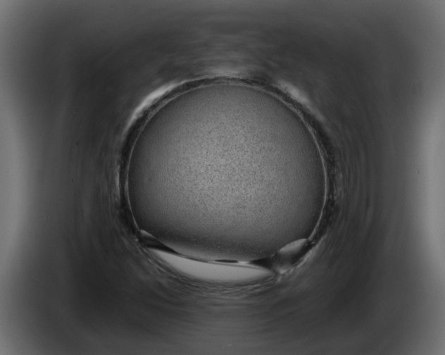 X0000083581214200703021806