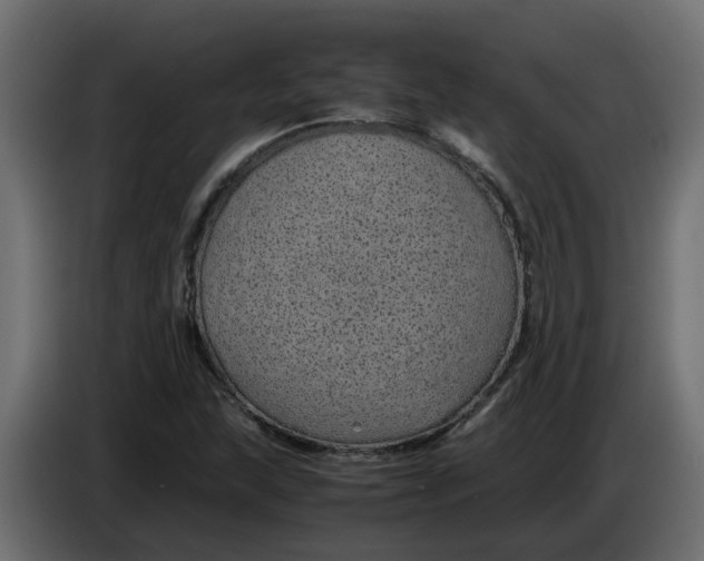 X0000083581215200703021806