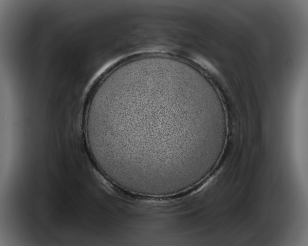 X0000083581216200703021806