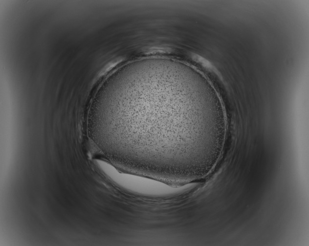 X0000083581217200703021806