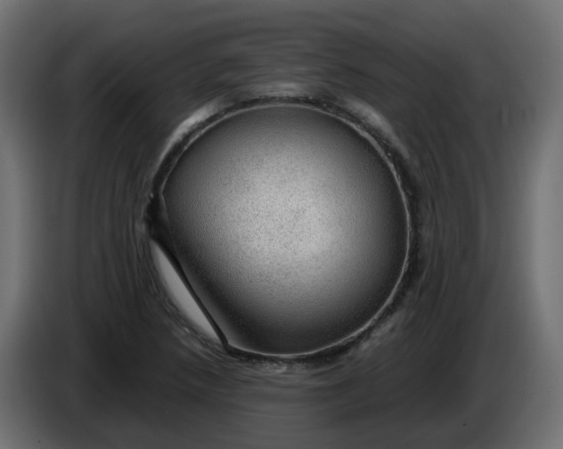 X0000083581218200703021806