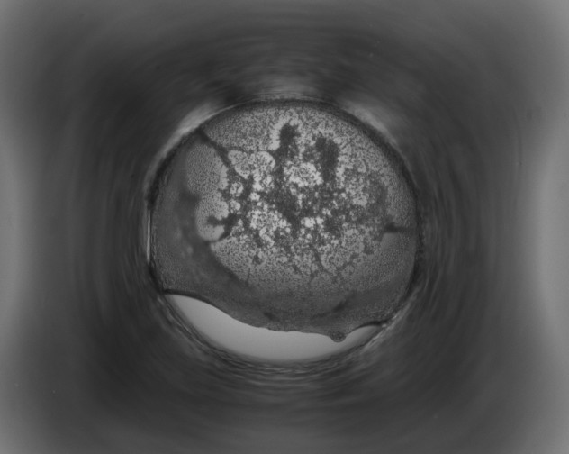 X0000083581219200703021806