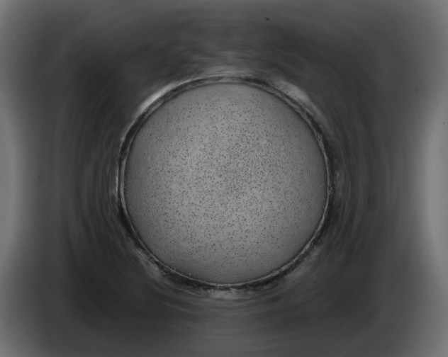 X0000083581220200703021806