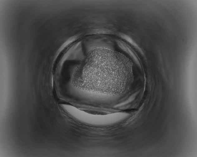 X0000083581221200703021806