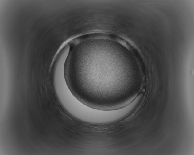 X0000083581222200703021806