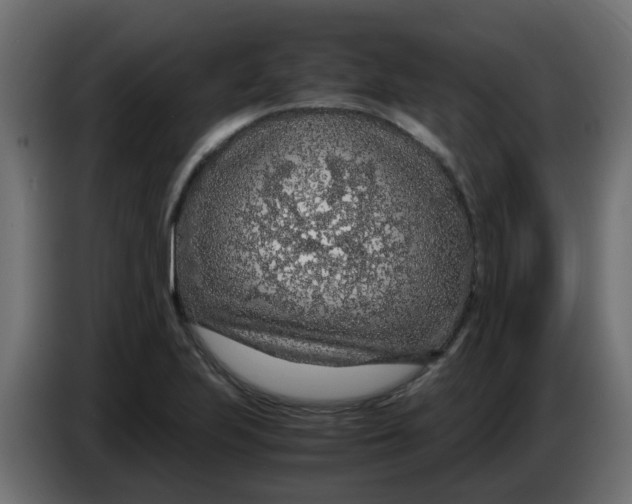 X0000083581223200703021806