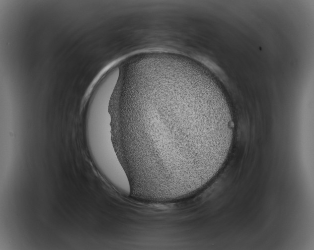 X0000083581224200703021806