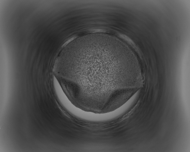 X0000083581225200703021806