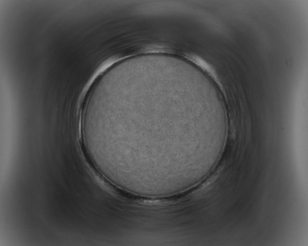 X0000083581227200703021806