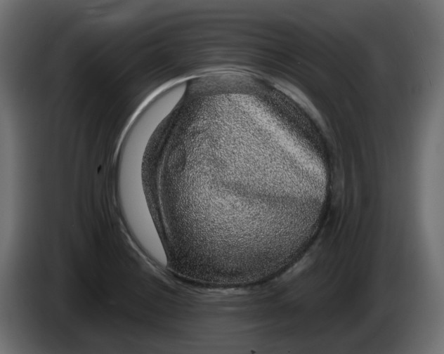 X0000083581228200703021806