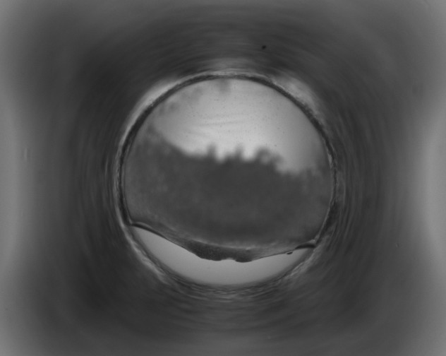 X0000083581231200703021806