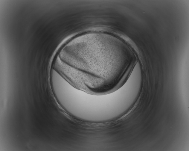 X0000083581232200703021806